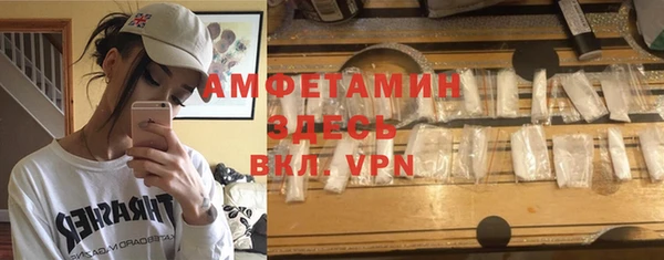 прущие грибы Белокуриха