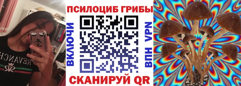 Псилоцибиновые грибы мухоморы  ссылка на мегу ссылка  Курильск 